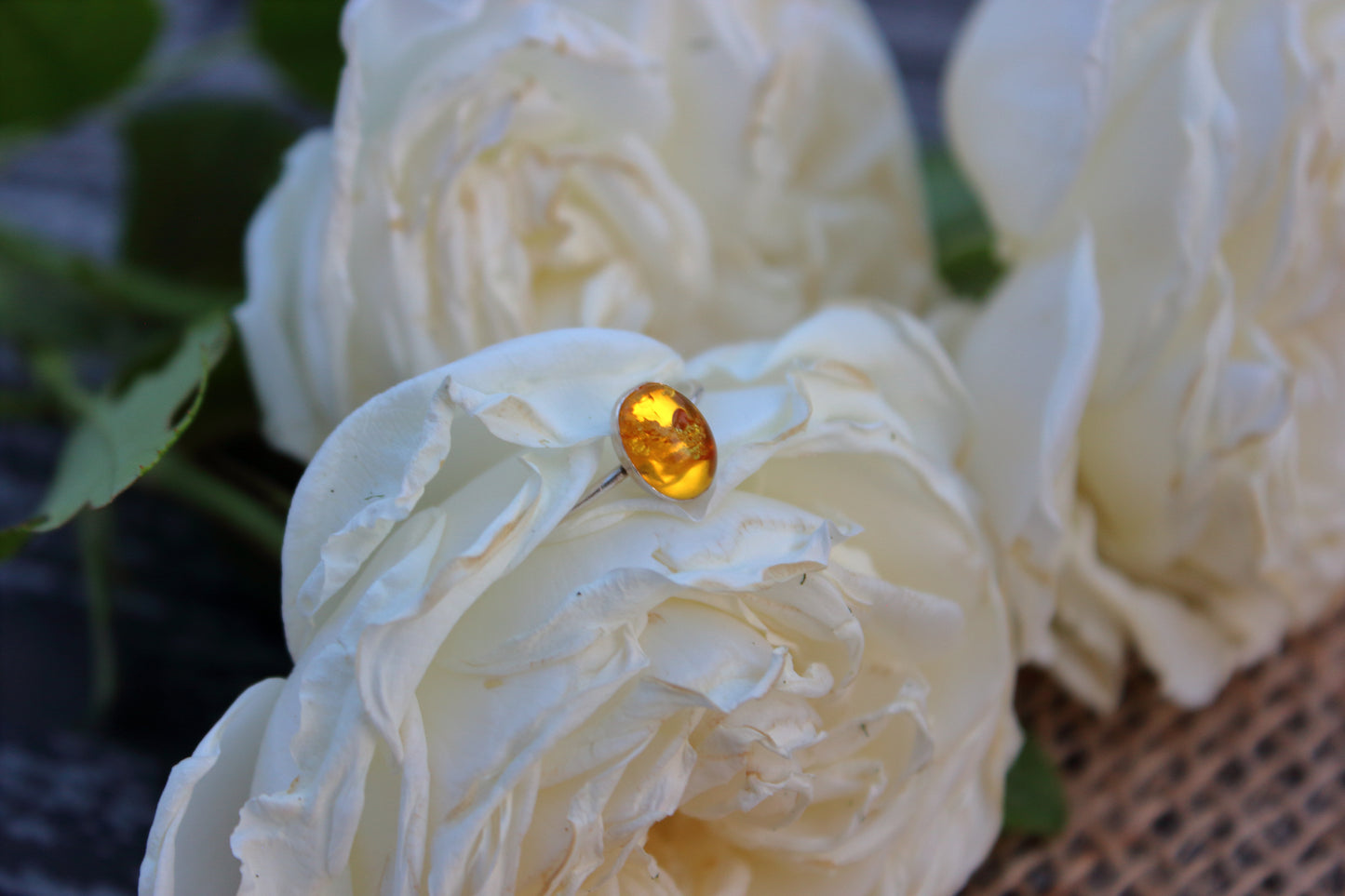 Close-up of white roses with a yellow gemstone on a blurred background