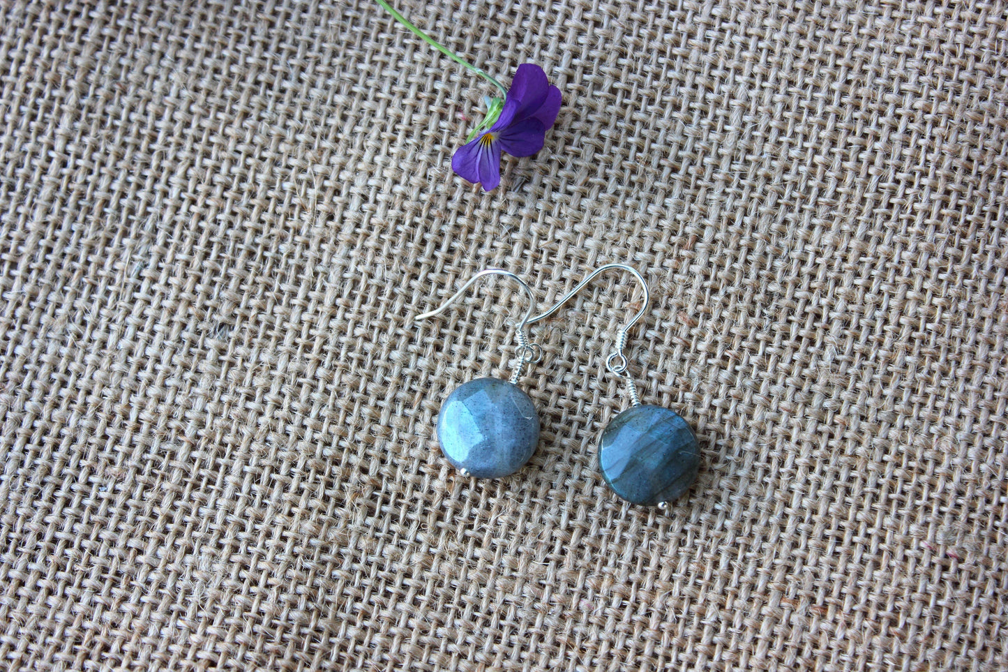 Blue Labradorite Coin Earrings