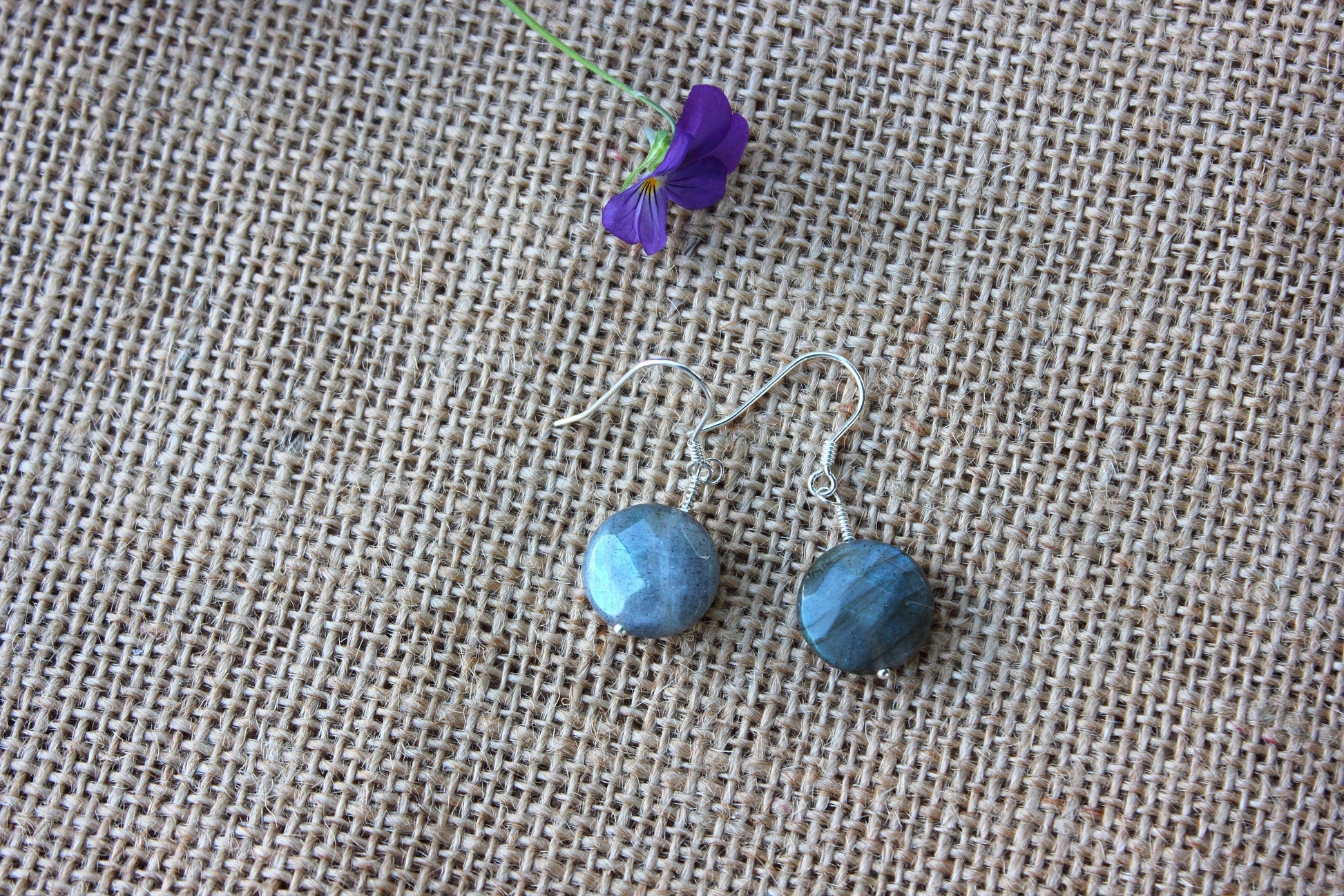 Blue Labradorite Coin Earrings