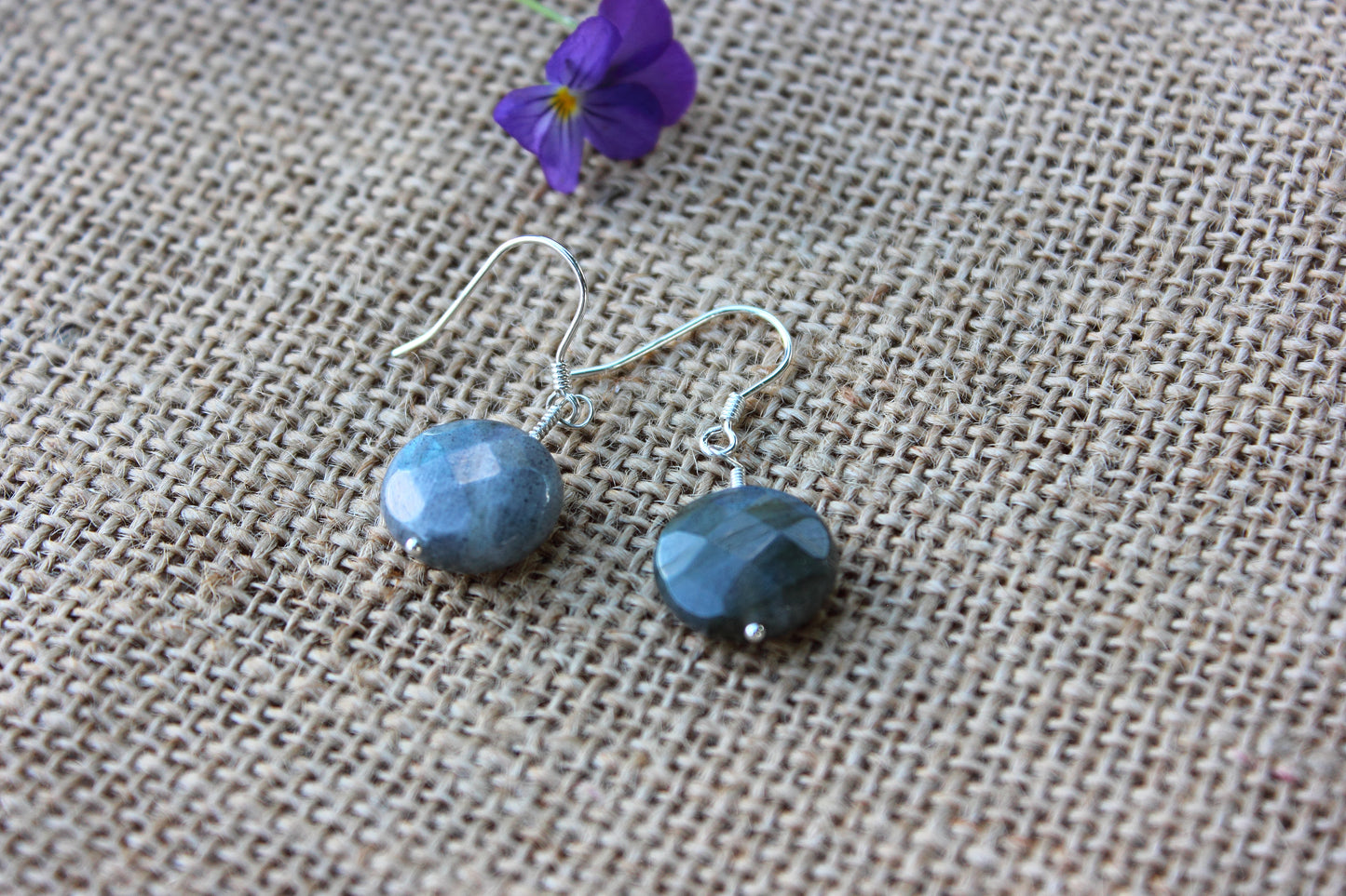 Blue Labradorite Coin Earrings