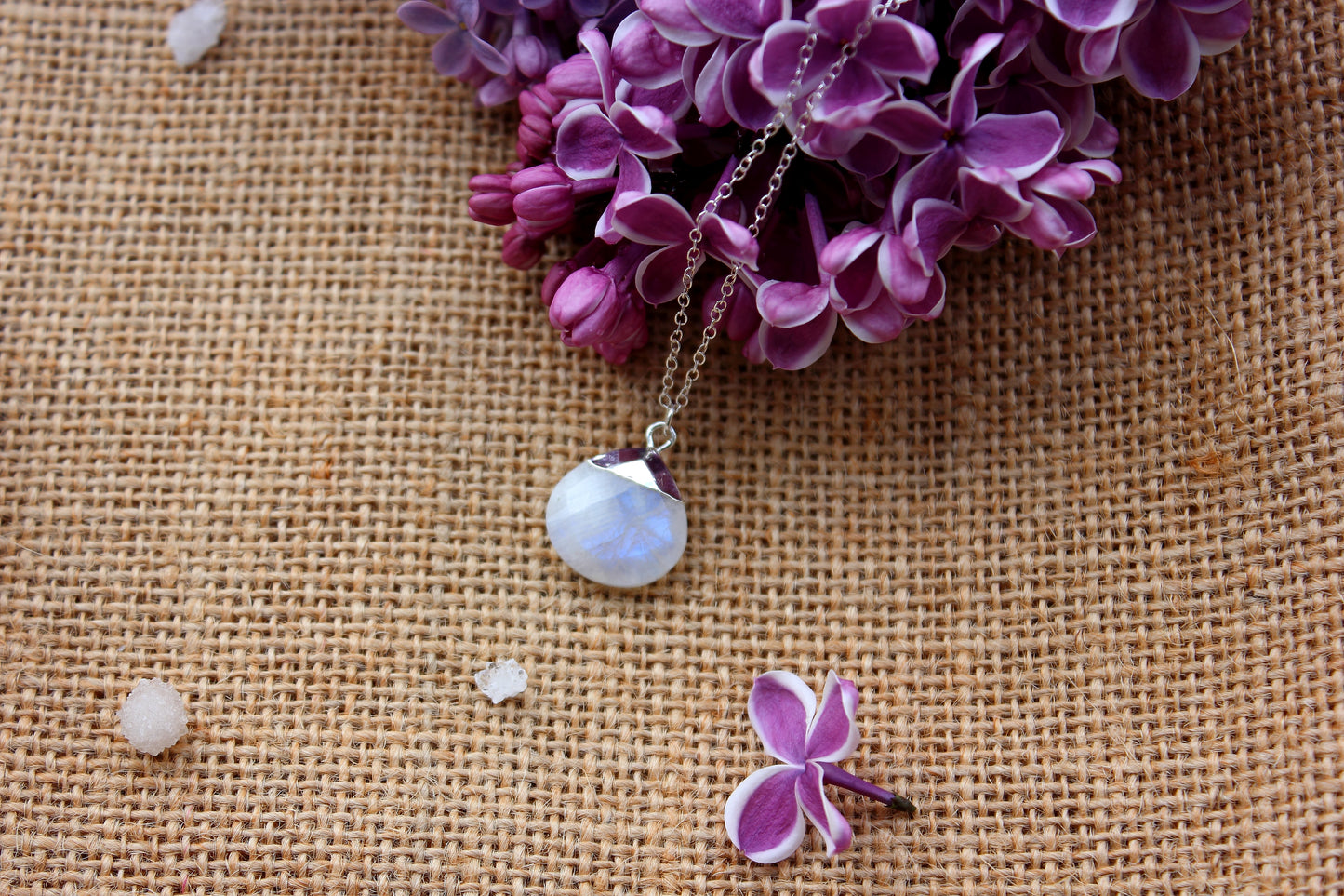 Rainbow Moonstone Briolette Necklace